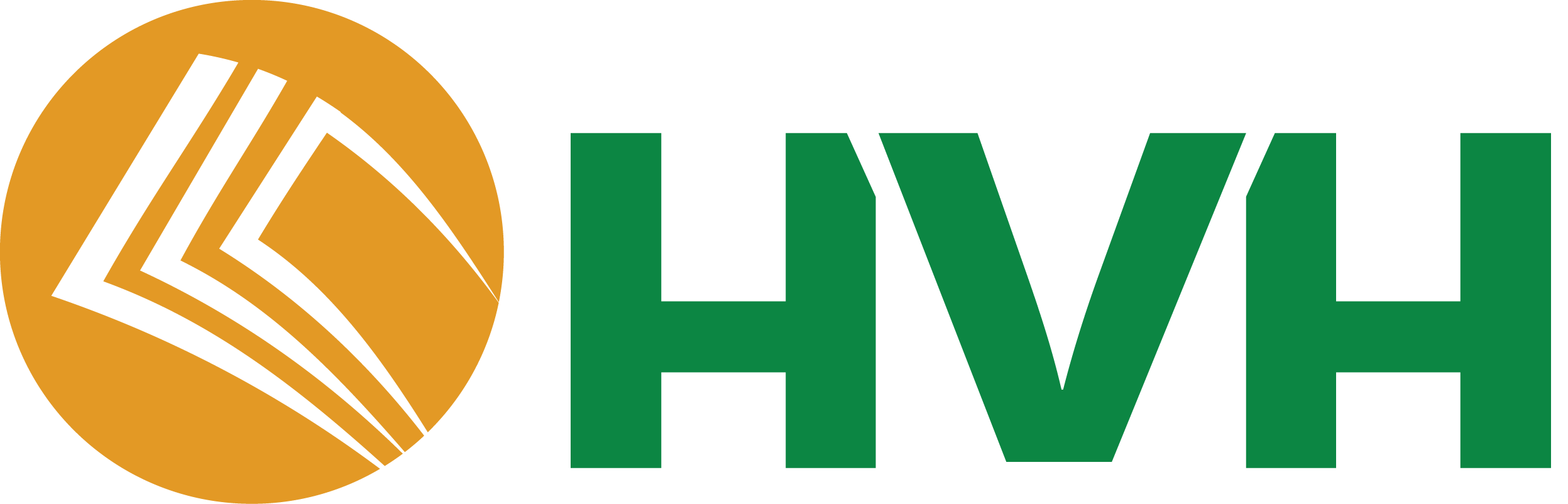 LOGO HVH